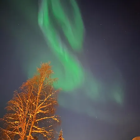 Jaktstuga Elves Wagon Rovaniemi