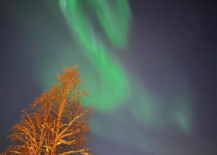 Chata Elves Wagon Rovaniemi