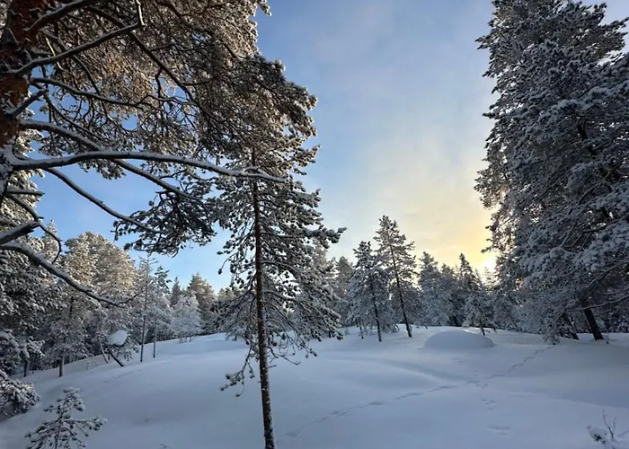 Elves Wagon Chata Rovaniemi